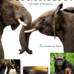 Belknap Press Kindle Evolutionary Psychology 2nd Edition 720 Pages-0
